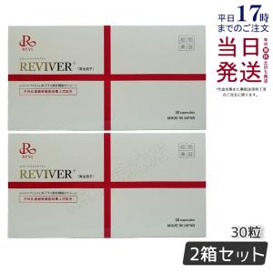 REVI ルヴィ ソーム アクティブオーラルジェル 8g 口腔ケア 専用ジェル