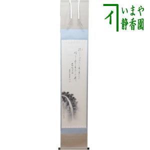 茶道具 掛軸 掛け軸 横軸画賛 大綱和尚遺詠の歌 足立泰道筆 瀧の画