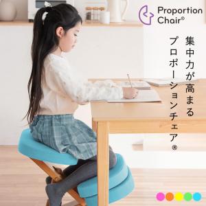 旧型リボ社製バランスチェア・イージー：アフターパーツ／膝クッション