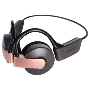 Victor みみ楽 EH-W10 ワイヤレスボイスレシーバー 集音器