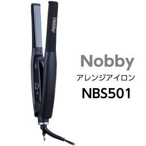 Nobby NB4100 マイナスイオン ヘアードライヤー ブラック 正規品