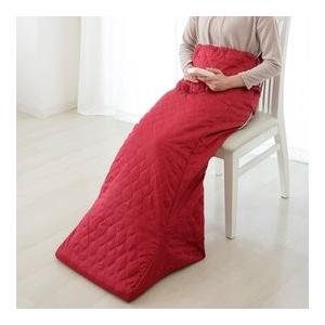 なかぎし 電気 足温器 フットウォーマー ひざ掛け 足温めグッズ 脚入れ