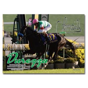 エフフォーリア」ジグソーパズル500ピース (競馬 競走馬 38×53cm 現役