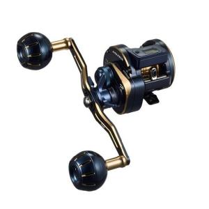 ダイワ 21 ソルティガIC 300H-SJ(右ハンドル) : フィッシング いちだ