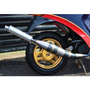 CHAMELEON FACTORY（カメレオンファクトリー） パラライザーIII