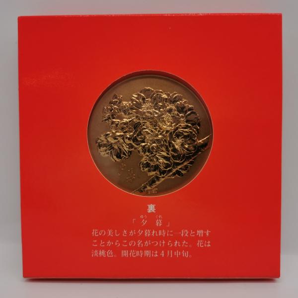 coin-shichifukuhonpo_cm-042