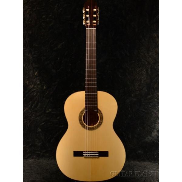 アリア Basic Flamenco A-50F (アコースティックギター) 価格比較