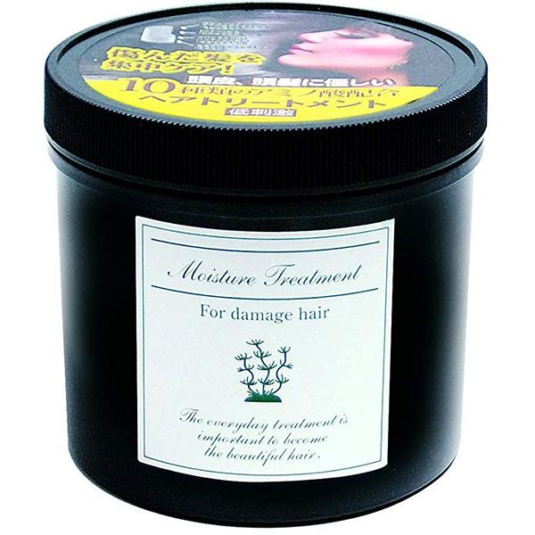 有限会社けわいや(KEWAIYA) Dモイスチャートリートメント 800g ＜頭皮