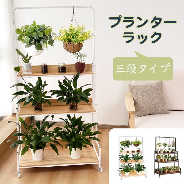 ebisu-japan_ck1180--ck1181