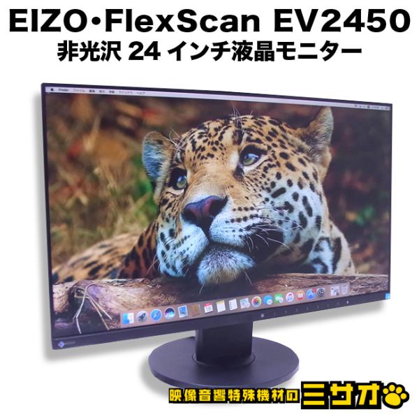 misaonet_eizo-ev2450