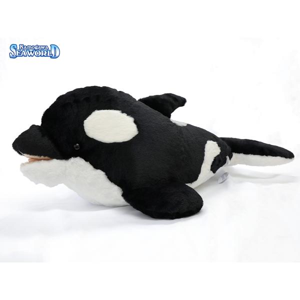 鴨川シーワールドオリジナル もふもふシャチぬいぐるみ : 鴨川シー
