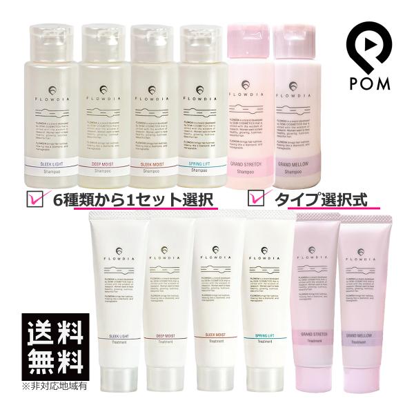 FLOWDIA デミ フローディア シャンプー 50mL＆ トリートメント 50g