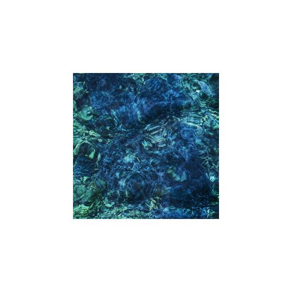 青葉市子 Luminescent Creatures＜数量限定通常盤/黒盤＞ LP