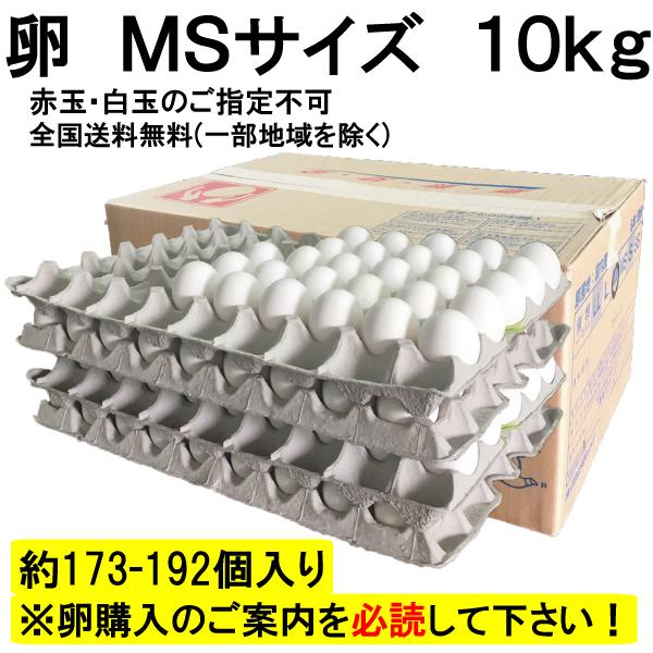 爆買 卵 MSサイズ 10kg 約173-192個 業務用 送料無料 夏季クール便