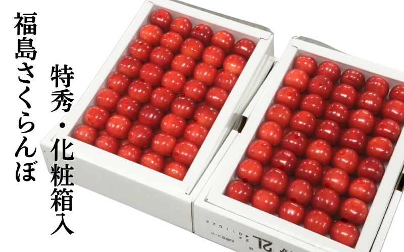 特秀】福島県産 さくらんぼ（佐藤錦） | 【公式】JAふくしま未来のお