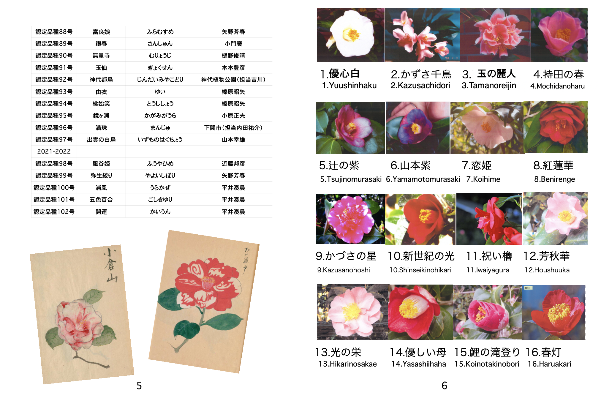 5スクリーンショット-2021-09-12