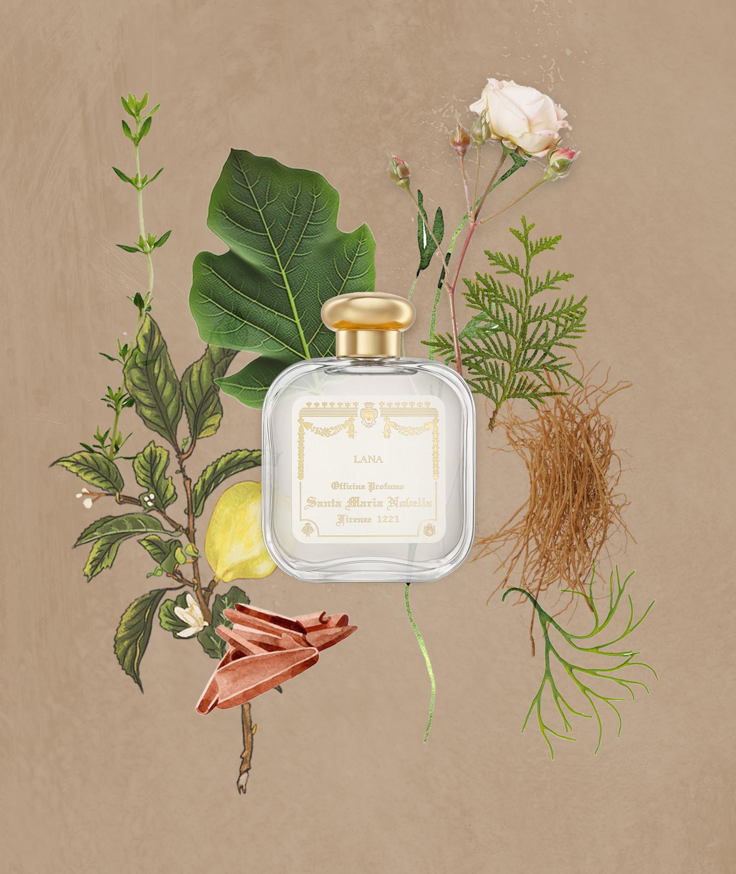 ラーナ オーデコロン 100ml｜サンタ・マリア・ノヴェッラ