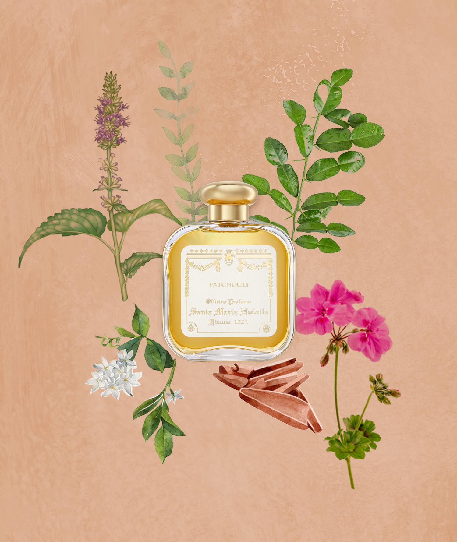 パチューリ オーデコロン｜サンタ・マリア・ノヴェッラ