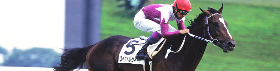 スペシャルウィーク｜3分でわかった気になる名馬 JRA