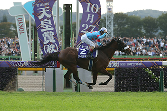 2019年 天皇賞（秋） JRA