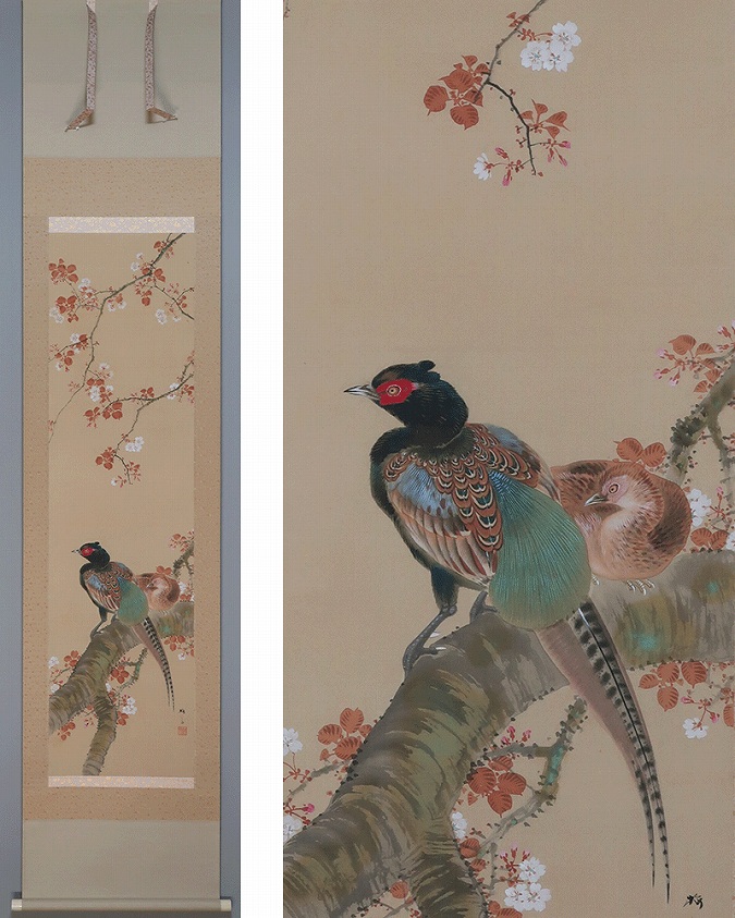 狩野梅斎 桜花双雉図 | 掛軸(掛け軸)販売／表装ご依頼は掛軸いっぷく