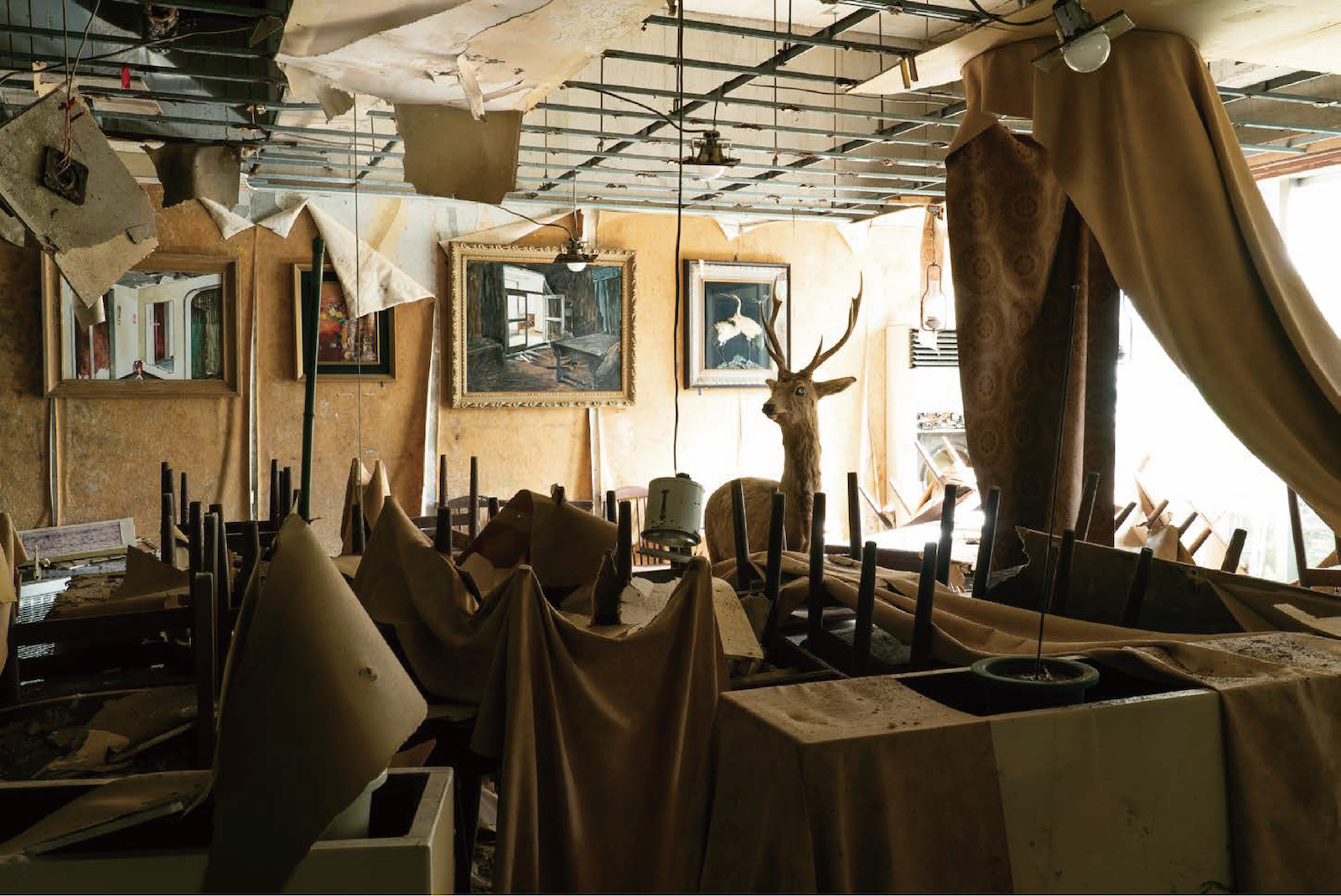 冨安由真展 | 漂泊する幻影 | Yuma Tomiyasu | Shadows of Wandering