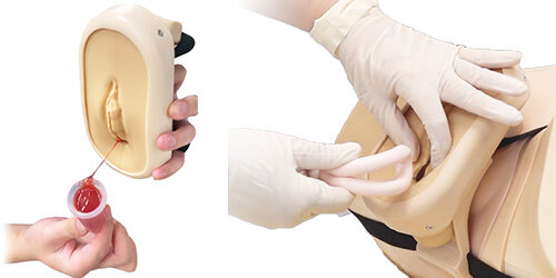 産科婦人科に向けた教材シリーズ | 京都科学