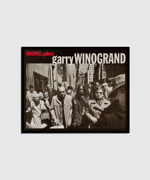 The Man in the Crowd – ゲイリー・ウィノグランド - LEBENSFARBE