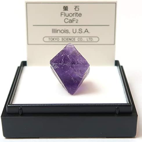 Amazon | SCIENCE ミニ鉱物標本 天才の石 「蛍石 八面体 フローライト