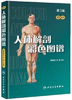 41vEanJ2WsL._AC_UF350,