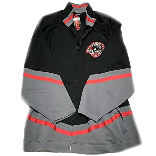Amazon.co.jp: 百獣戦隊ガオレンジャー 公式 ジャケット 純烈 LLXL