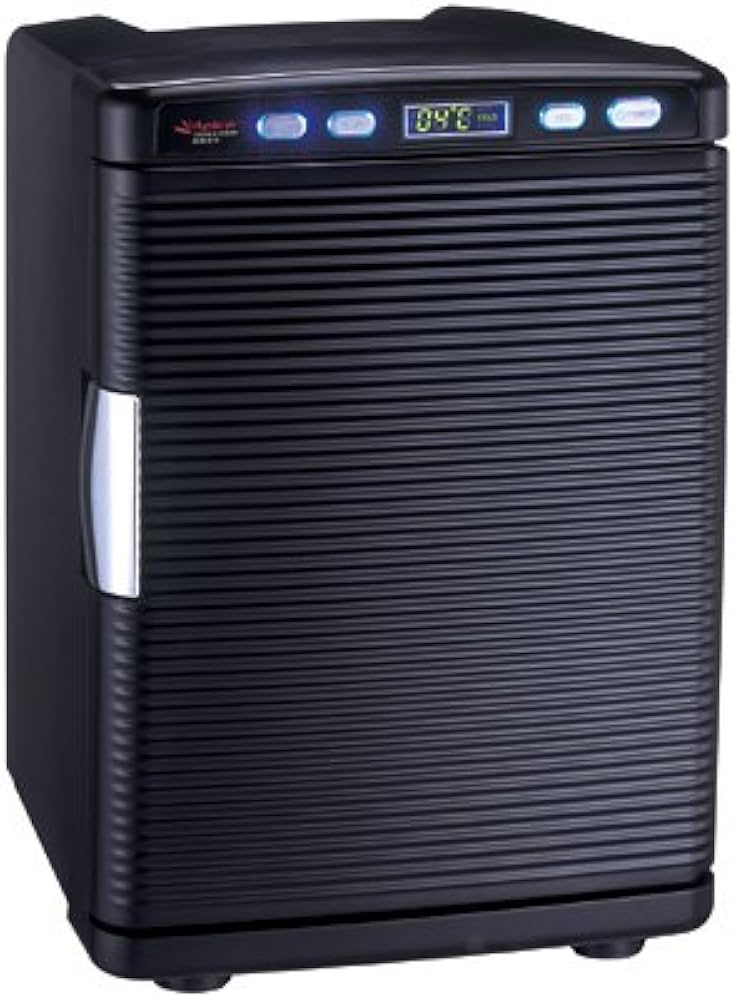 Amazon | アピックス ポータブル保冷庫(ブラック) ACW-610-BK | APIX