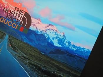 41fqtfWkreL._AC_UF350,