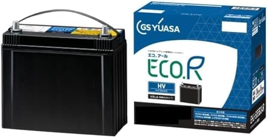 Amazon.co.jp: GSユアサ (ジーエスユアサ) EHJ S55B24R ECO.R HV