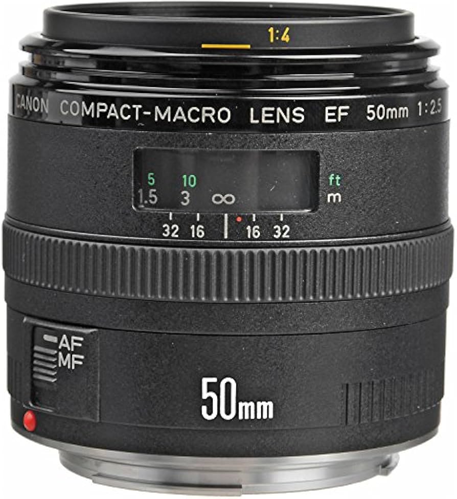 Canon EF 50mm f/2.5 Compact Macro Lens : Amazon.ca: Electronics