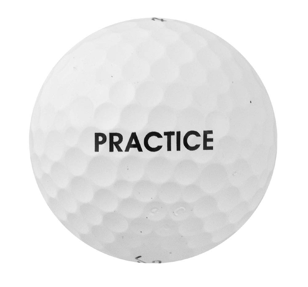 Amazon | Titleist Pro V1 Practise Golf Balls, White (One Dozen