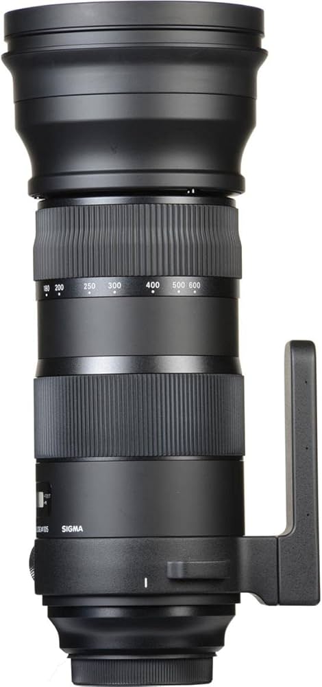 Amazon.co.jp: SIGMA 150-600mm F5-6.3 DG OS HSM | Sports S014