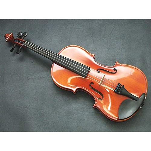 Amazon.co.jp: カルロジョルダーノ ビオラアウトフィット VL-1 15.5