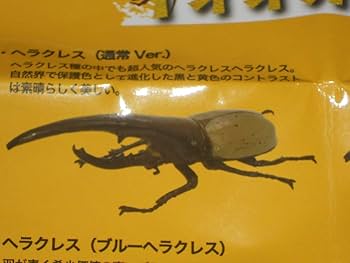 Amazon.co.jp: 1/1 ヘラクレスオオカブト 全3種set 特大約175mm/ブルー