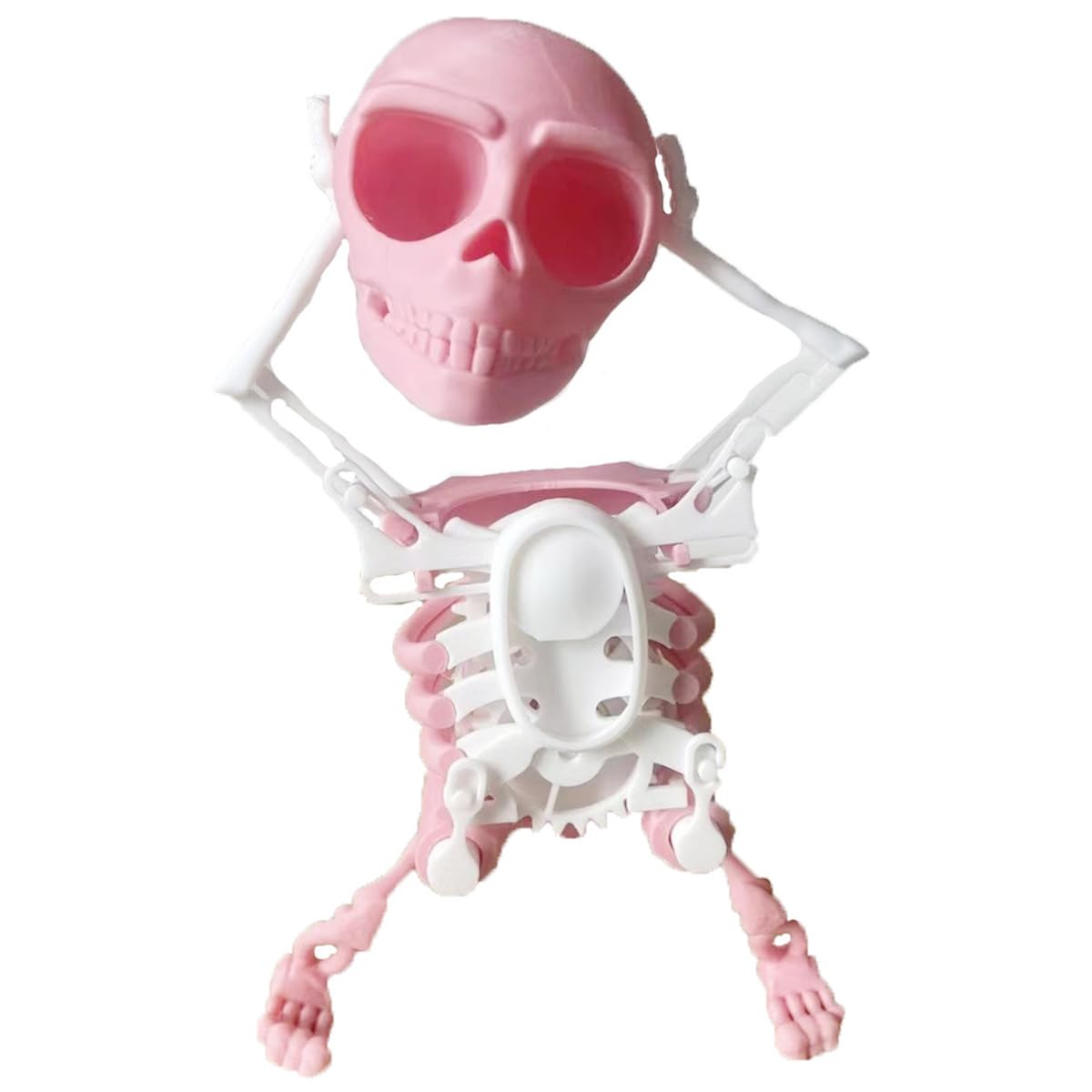 Amazon.co.jp: karonpeln 踊る骸骨 おもちゃ 3D 可動 スケルトンモデル