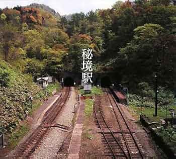 51FEBLfqrkL._AC_UF350,