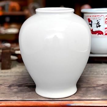 51Fx79hvqJL._AC_UF350,