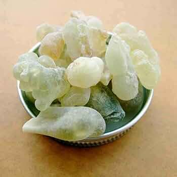 51SdLZznWxL._AC_UF350,