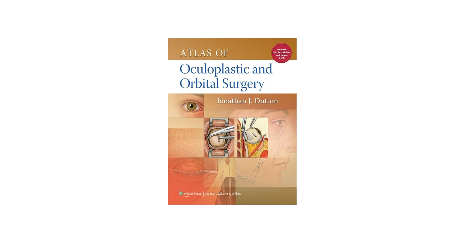 51azfLbisvL.jpg_BO30,255,255,