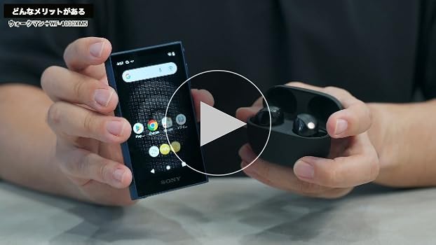 Amazon.co.jp: Sony NW-A306 LC Walkman 32GB A300 Series NW-A306