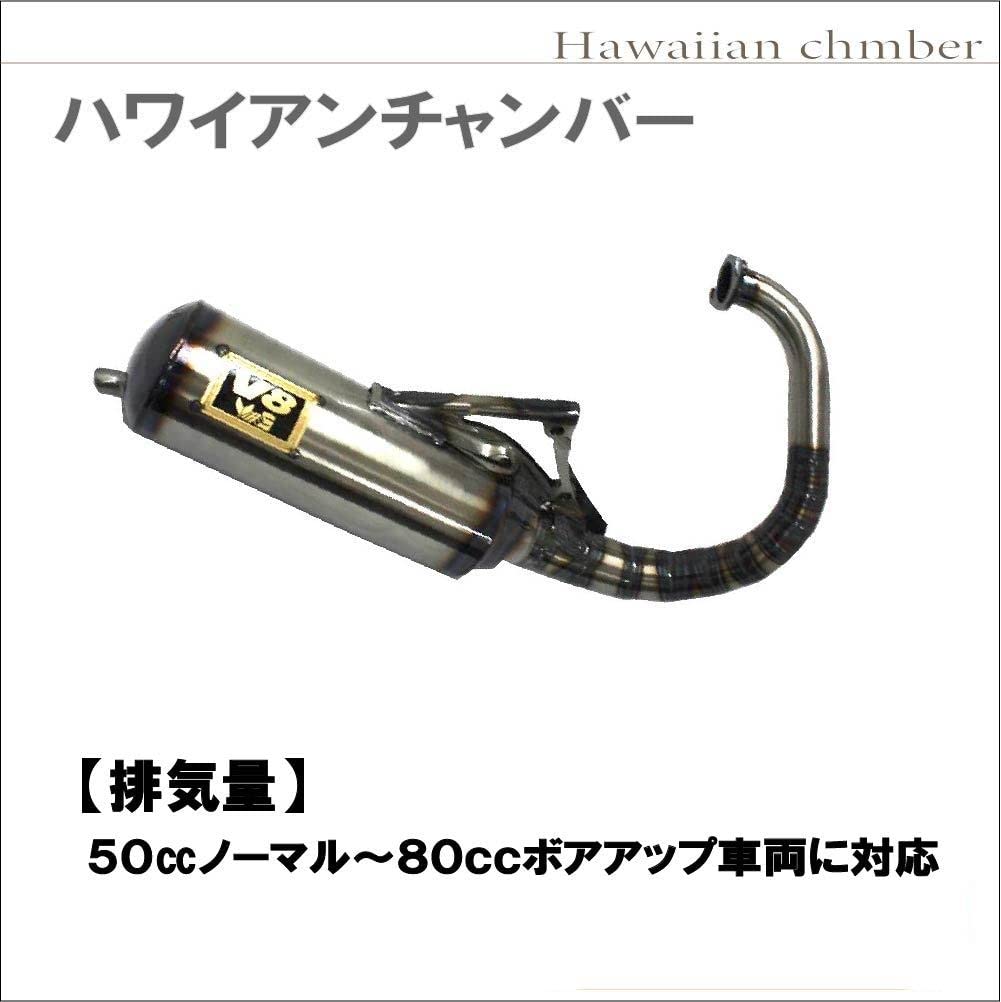 Amazon | 【Life Design Johnson.116】ホンダ ディオ DIO 縦型 横型 V8