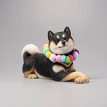 51qA-WBkijL._AC_UF350,