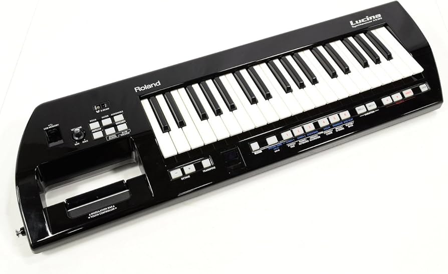 Amazon | Roland / AX-09 LUCINA BLACK ローランド ショルダー