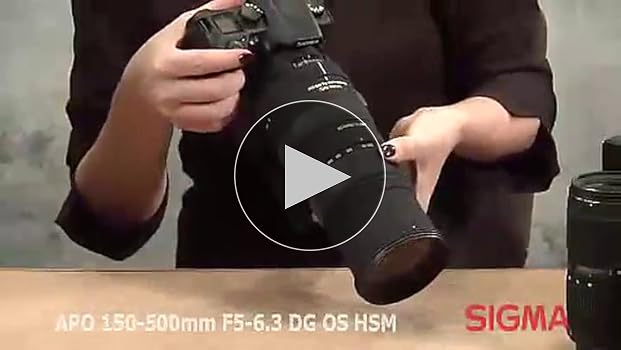 Amazon.com : Sigma 150-500mm f/5-6.3 AF APO DG OS HSM Telephoto