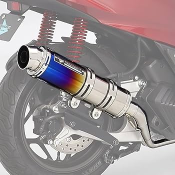 Amazon | エンデュランス (ENDURANCE) バイク [受注生産品] PCX JK05